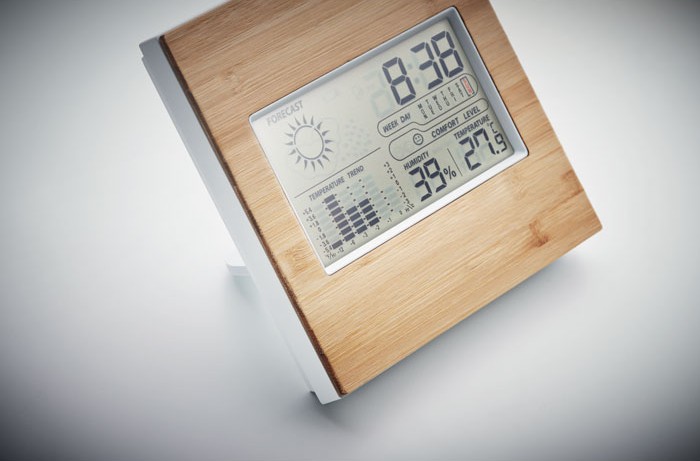 Vremenska postaja - bambus prednji del