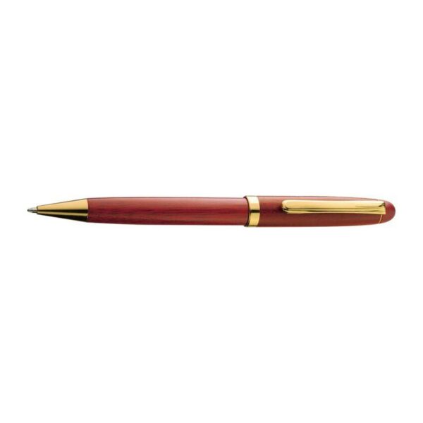 Lesen set kemični svinčnik in nalivno pero