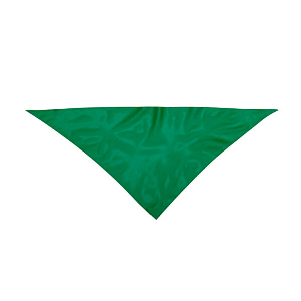 Trikotna ruta