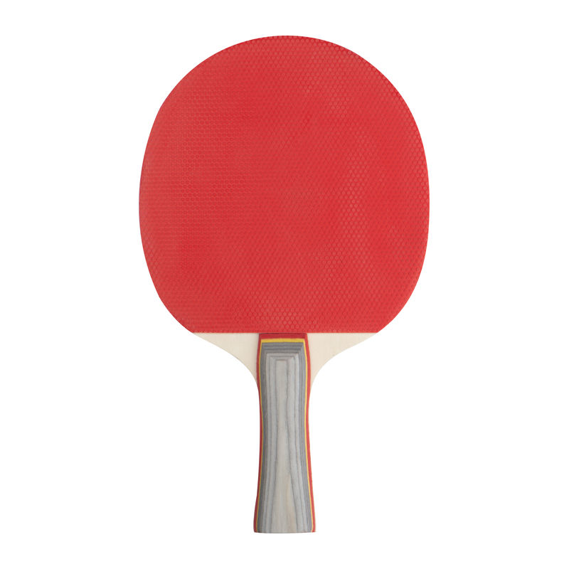 Set za namizni tenis Set za namizni tenis