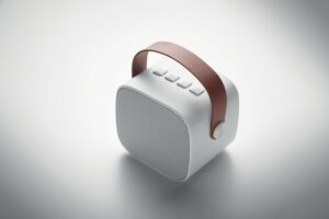 Brezžični zvočnik s PU ročajem Karaseta